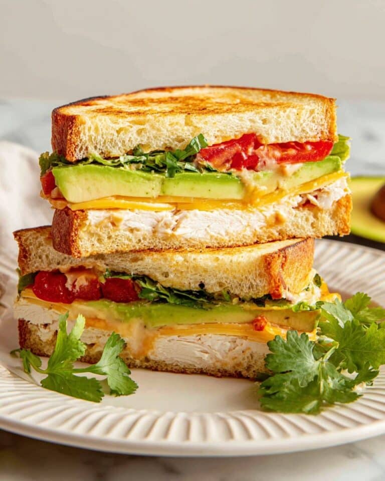 Chipotle Chicken Avocado Melt Recipe